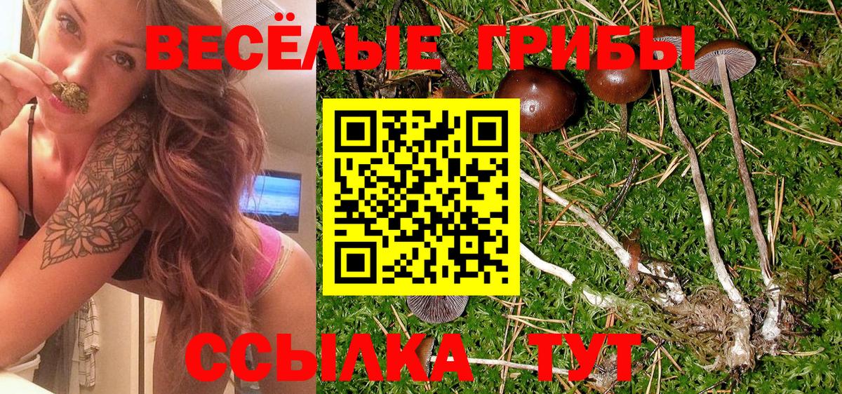 Заводоуковск  Псилоцибиновые грибы Cubensis  Вход с VPN 